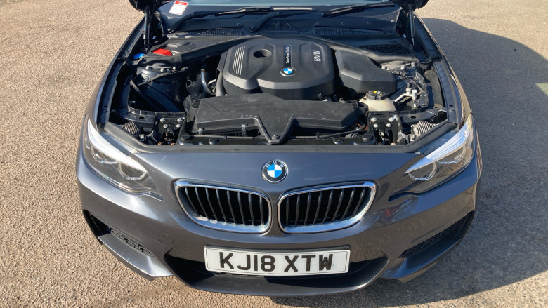 BMW 2 Series 218i M Sport 2dr [Nav] Petrol Coupe